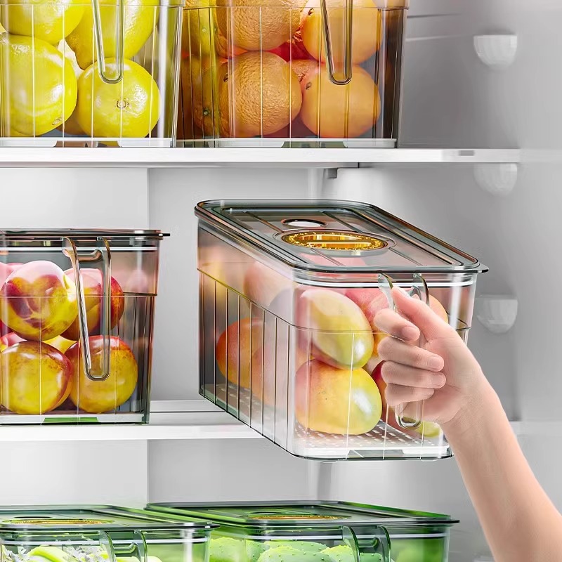 Food Storage Freezer Containers - Kotak penyimpanan kulkas, telur, buah dan
