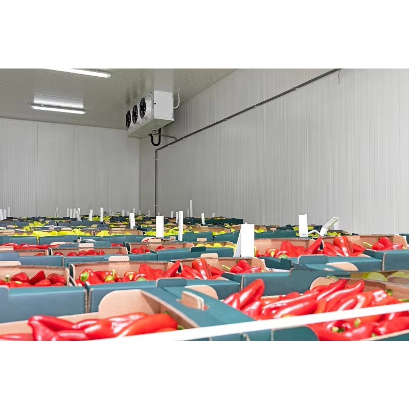 Ruang Pendingin Khusus Terlari - Food Storage Keep Hot ulasan dan harga