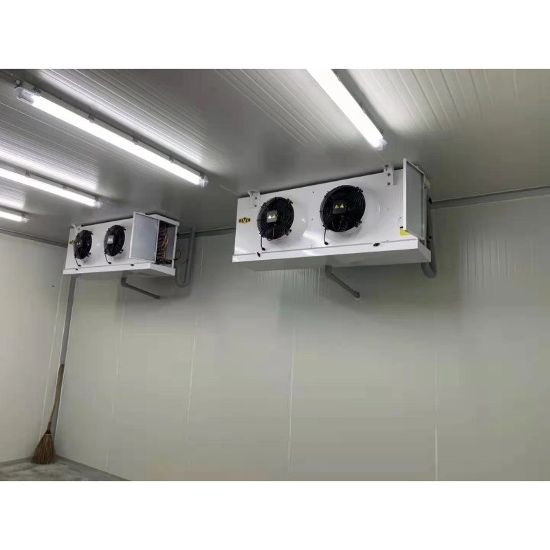 Ruang Pendingin Khusus Terlari - Food Storage Keep Hot ulasan dan harga