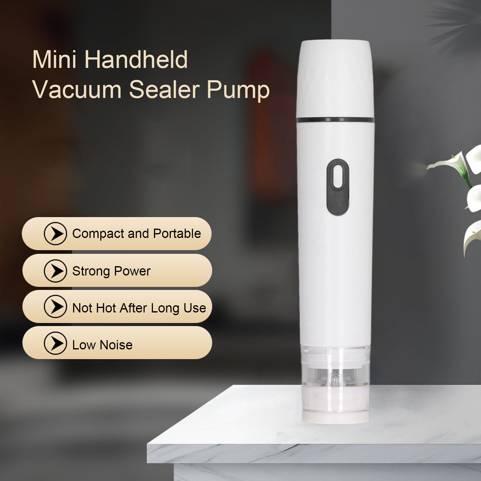 Pompa Udara Listrik Penyegel V - Food Storage Vacuum Pump ulasan dan harga