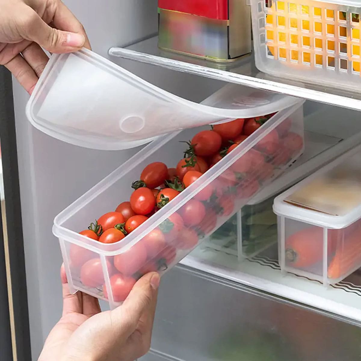 1 Kotak Penyimpanan Plastik Tr - Food Storage Freezer Containers ulasan dan harga