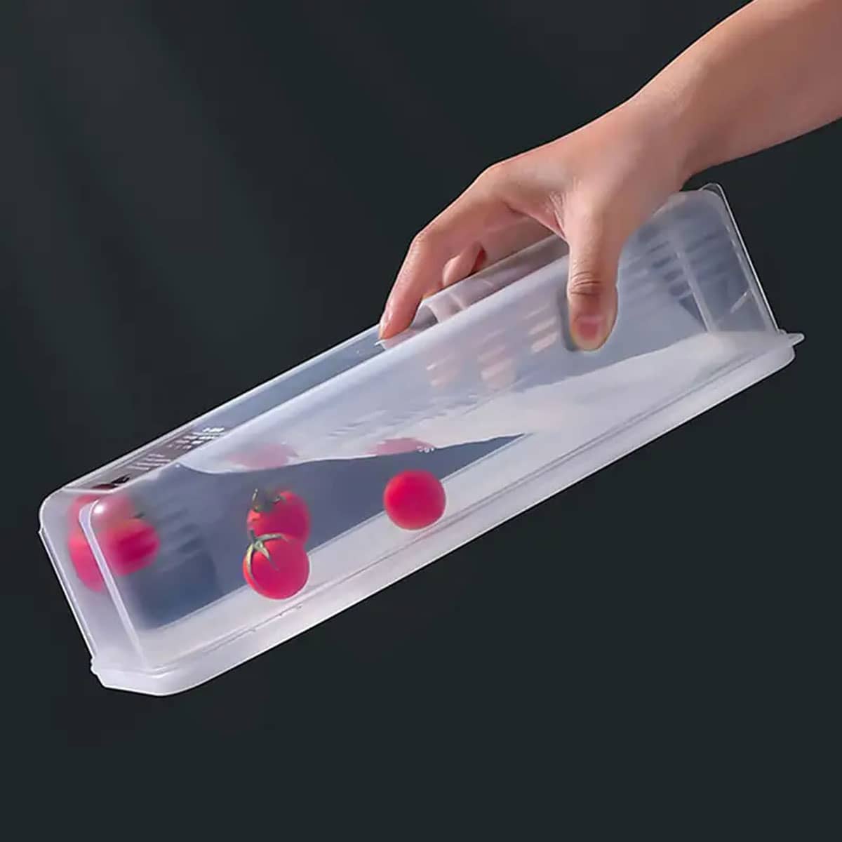 1 Kotak Penyimpanan Plastik Tr - Food Storage Freezer Containers ulasan dan harga